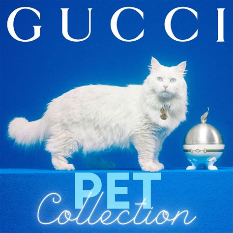 gucci for pets|gucci pet products.